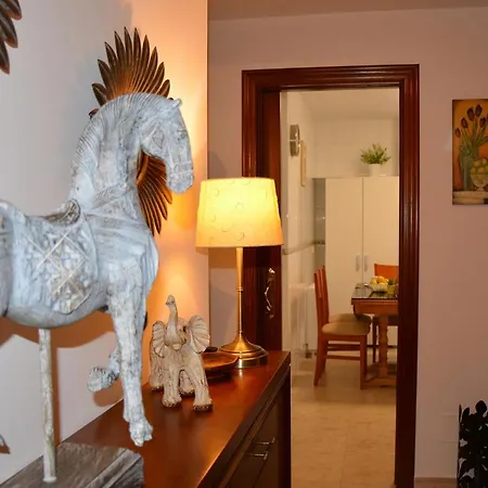 Duplex Concheiros